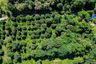 Land for sale in Nam Phrae, Chiang Mai