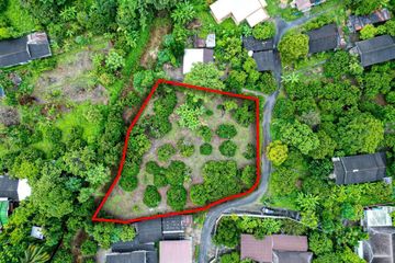 Land for sale in Khua Mung, Chiang Mai