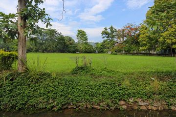 Land for sale in Rim Tai, Chiang Mai