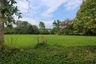 Land for sale in Rim Tai, Chiang Mai