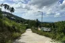 Land for sale in Bo Phut, Surat Thani