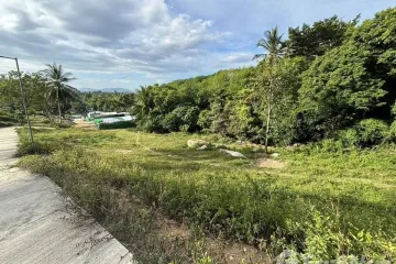 Land for sale in Bo Phut, Surat Thani