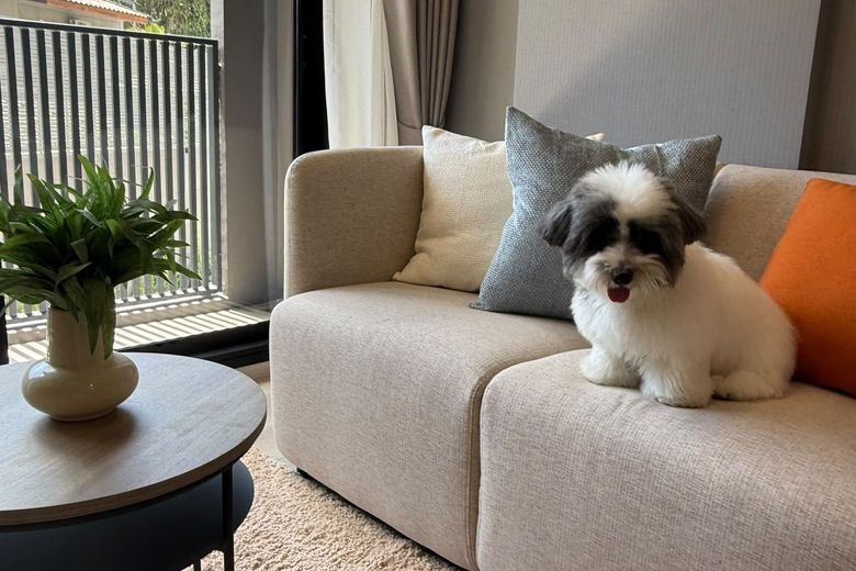1 Bedroom Condo For Rent