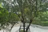 1 Bedroom Condo for rent in Atmoz Tropicana Bangna, Bang Na, Bangkok near MRT Si Iam