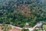 Land for sale in Mae Nam, Surat Thani