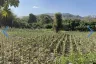 Land for sale in Nam Phrae, Chiang Mai