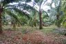 Land for sale in Khao Thong, Krabi
