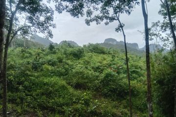 Land for sale in Nong Thale, Krabi