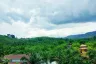 Land for sale in Mo, Phang Nga