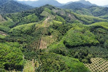 Land for sale in Lam Phi, Phang Nga