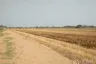 Land for sale in Lam Luk Ka, Pathum Thani