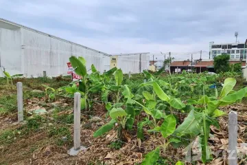 Land for sale in Wichit, Phuket