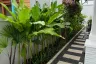 3 Bedroom Villa for rent in Permsap Villa, Si Sunthon, Phuket