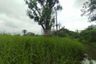 1 Bedroom Land for sale in Lam Phak Chi, Bangkok