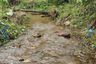 Land for sale in Kathu, Phuket