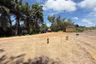 Land for sale in Pong, Chonburi