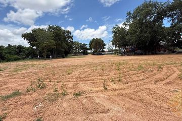 Land for sale in Nong Prue, Chonburi