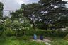 Land for sale in Nong Prue, Chonburi