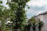3 Bedroom House for sale in Nong Prue, Chonburi