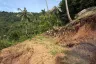 Land for sale in Maret, Surat Thani