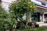 3 Bedroom House for sale in Bang Chak, Bangkok near BTS Punnawithi