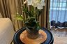 1 Bedroom Condo for Sale or Rent in MUNIQ Langsuan, Lumpini, Bangkok near BTS Chit Lom