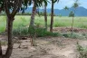 Land for sale in Rai Mai, Prachuap Khiri Khan