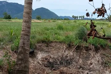 Land for sale in Rai Mai, Prachuap Khiri Khan