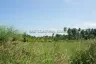 Land for sale in Nong Prue, Chonburi