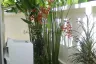 3 Bedroom House for rent in Nong Prue, Chonburi