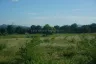 Land for sale in Huai Yai, Chonburi