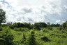 Land for sale in Nong Prue, Chonburi