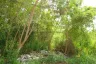 Land for sale in Na Jomtien, Chonburi