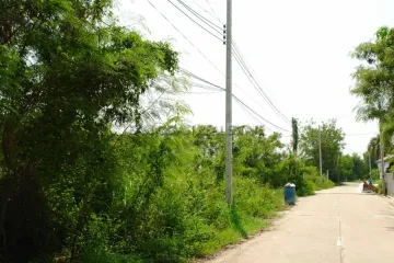 Land for sale in Na Jomtien, Chonburi