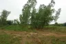 Land for sale in Huai Yai, Chonburi