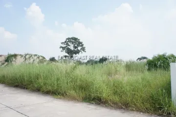 Land for sale in Nong Prue, Chonburi