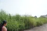 Land for sale in Nong Prue, Chonburi
