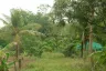 Land for sale in Huai Yai, Chonburi