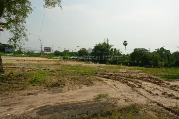 Land for sale in Nong Prue, Chonburi