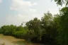 Land for sale in Nong Prue, Chonburi