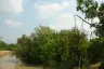 Land for sale in Nong Prue, Chonburi