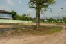 Land for sale in Nong Prue, Chonburi