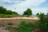 Land for sale in Nong Prue, Chonburi