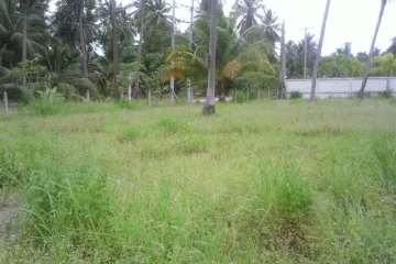 2 Bedroom House for rent in Nong Prue, Chonburi