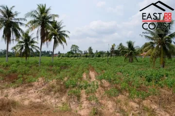 Land for sale in Huai Yai, Chonburi