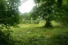 Land for sale in Pong, Chonburi