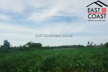 Land for sale in Pong, Chonburi
