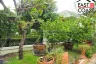 3 Bedroom House for Sale or Rent in Nong Prue, Chonburi