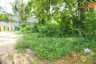 Land for sale in Nong Prue, Chonburi
