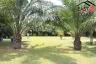 Land for sale in Huai Yai, Chonburi